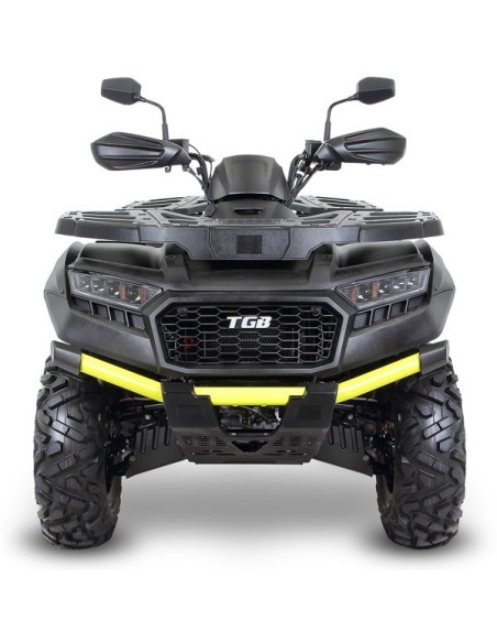 BLADE 550 FLX EPS