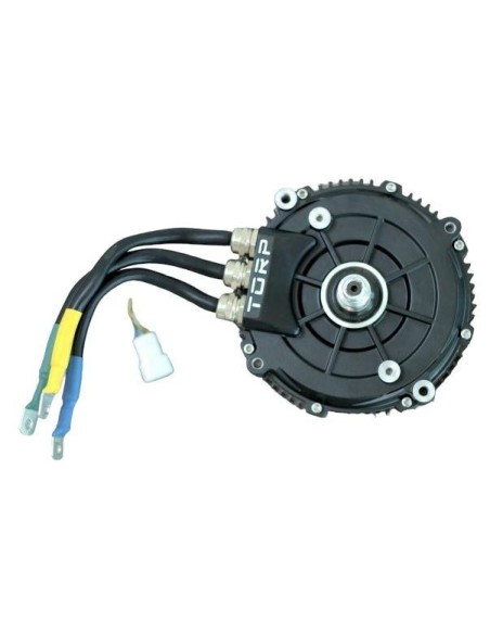 Moteur TORP TM25