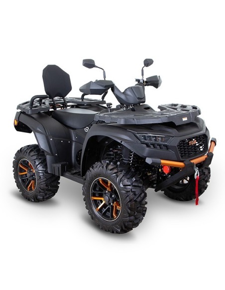 BLADE 600 FLX EPS EDITION limitée