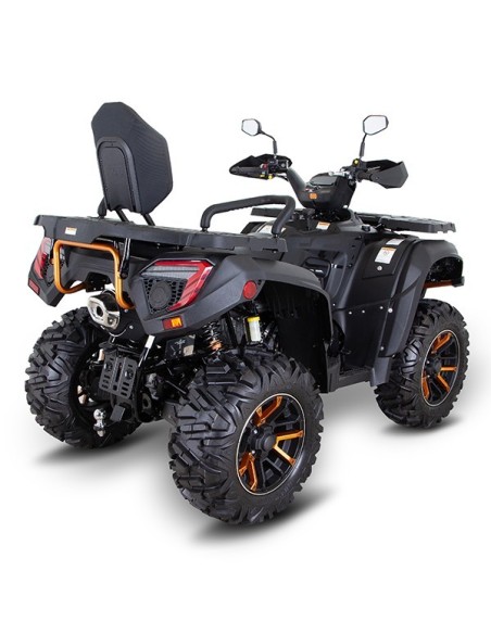 BLADE 600 FLX EPS EDITION limitée