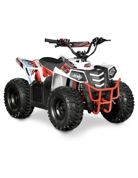 QUAD ENFANT éLECTRIQUE HY100 EV