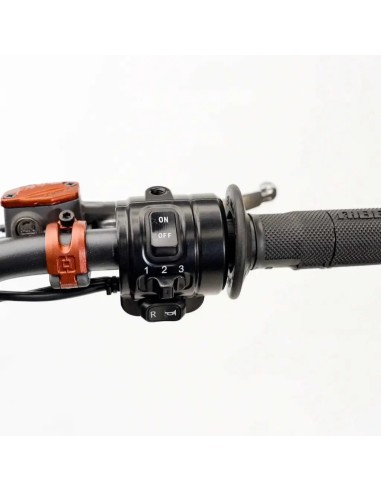 E-X 800 PRO Enduro Snow Leopard offroad
