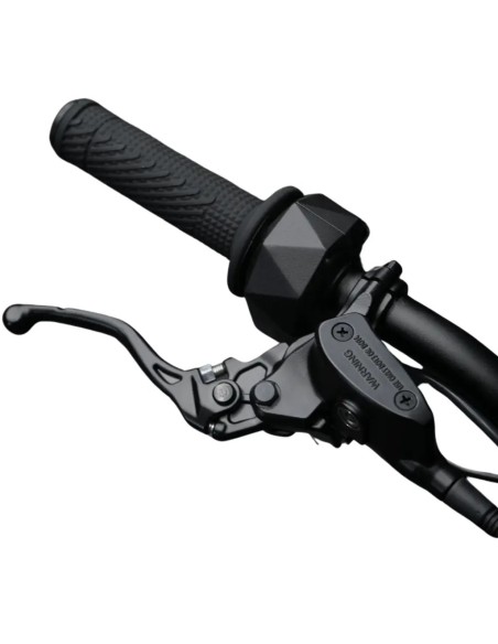 Ventus One + OFFROAD