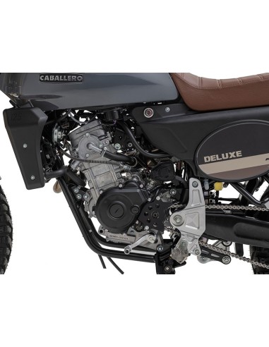 Deluxe 125