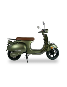 Scooter électrique E-retro max
